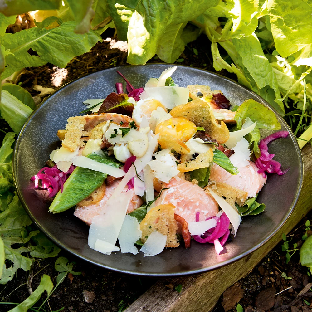 Caesarsallad med Hemrökt Lax, Sidfläsk och Pocherat Ägg
