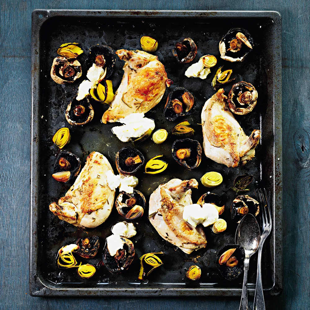 Kycklingfilé med svamp, purjo och rå tomatsås